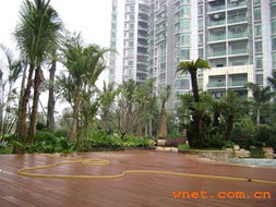 深圳市巴比倫環境園林藝術 園林景觀建設工程與產品展廳的工程管理實踐