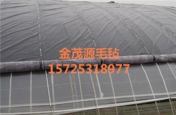 山東金茂源 大棚防寒保溫棉被與道路建設(shè)的雙重守護(hù)者