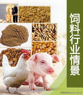推動(dòng)中國飼料行業(yè)持續(xù)發(fā)展的策略與展望