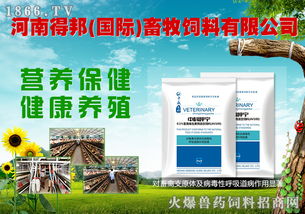 八重豪禮，巔峰鉅獻(xiàn) 河南得邦國(guó)際與火爆網(wǎng)攜手，共譜畜牧飼料行業(yè)新篇章