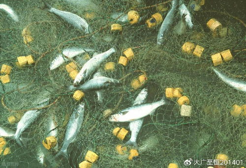 AquaTech 2026 馬來西亞漁業展覽會 領航漁業新紀元，驅動畜牧漁業飼料銷售創新